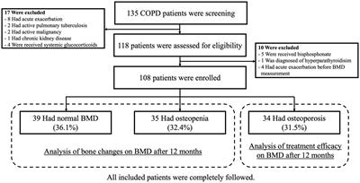 Prevalence, predictors, dynamic bone change, and treatment efficacy of osteoporosis among chronic obstructive pulmonary disease patients: a prospective cohort study